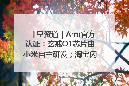 早资道｜Arm官方认证：玄戒O1芯片由小米自主研发；淘宝闪购联合饿了么日订单超4000万