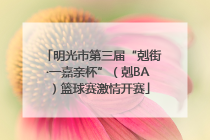 明光市第三届“剋街·一嘉亲杯”（剋BA）篮球赛激情开赛