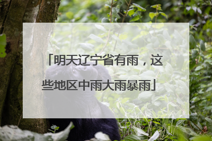 明天辽宁省有雨，这些地区中雨大雨暴雨
