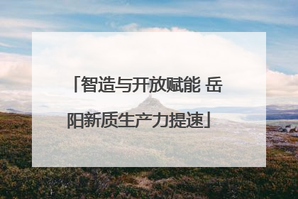 智造与开放赋能 岳阳新质生产力提速