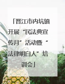 晋江市内坑镇开展“民法典宣传月”活动暨“法律明白人”培训会