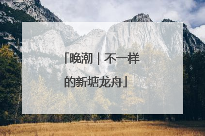 晚潮｜不一样的新塘龙舟