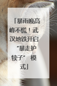暴雨晚高峰不慌！武汉地铁开启 “暴走护犊子” 模式