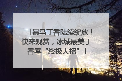 暴马丁香陆续绽放！快来观赏，冰城最美丁香季“终极大招”