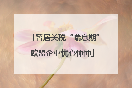 暂居关税“喘息期” 欧盟企业忧心忡忡