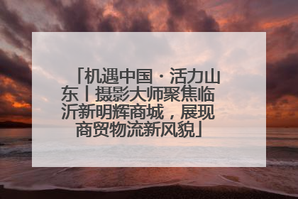 机遇中国・活力山东丨摄影大师聚焦临沂新明辉商城，展现商贸物流新风貌