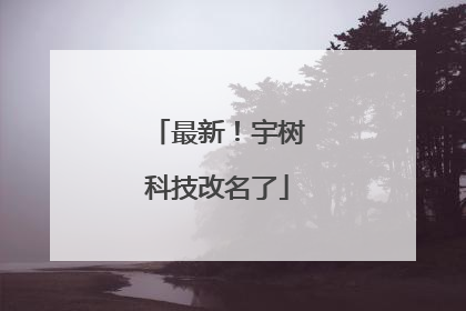最新！宇树科技改名了
