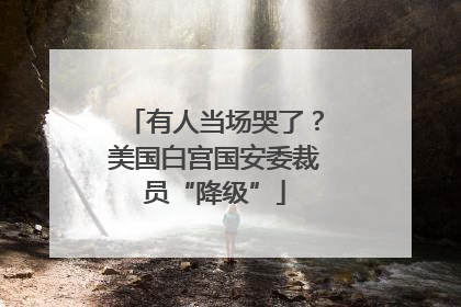 有人当场哭了？美国白宫国安委裁员“降级”