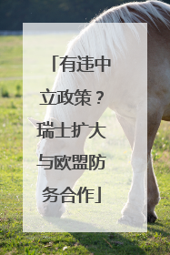 有违中立政策？瑞士扩大与欧盟防务合作