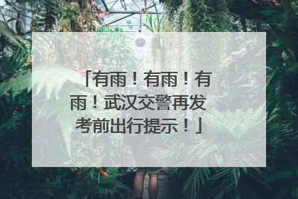 有雨！有雨！有雨！武汉交警再发考前出行提示！