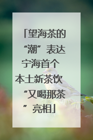 望海茶的“潮”表达 宁海首个本土新茶饮“又喝那茶”亮相