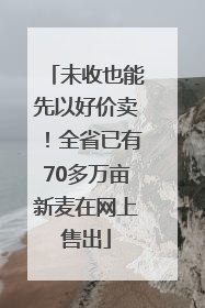 未收也能先以好价卖！全省已有70多万亩新麦在网上售出