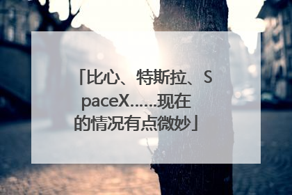 比心、特斯拉、SpaceX……现在的情况有点微妙
