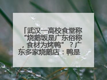 武汉一高校食堂称“烧鹅饭是广东俗称，食材为烤鸭”？广东多家烧鹅店：鸭是鸭鹅是鹅