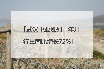 武汉中亚班列一年开行量同比增长72%