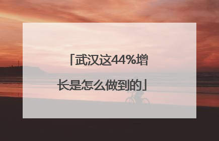 武汉这44%增长是怎么做到的