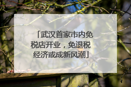 武汉首家市内免税店开业，免退税经济或成新风潮