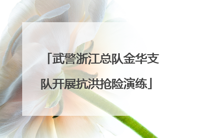 武警浙江总队金华支队开展抗洪抢险演练