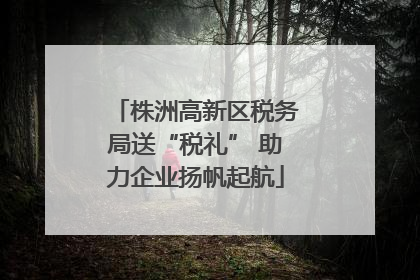 株洲高新区税务局送“税礼” 助力企业扬帆起航