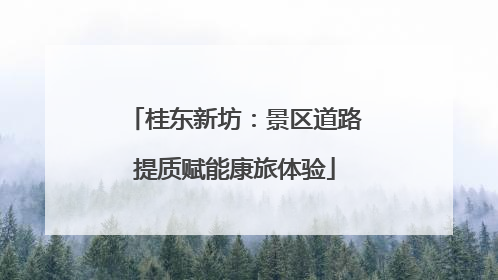 桂东新坊：景区道路提质赋能康旅体验