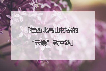 桂西北高山村寨的“云端”致富路