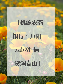 桃源农商银行：万阳云起处 信贷润春山