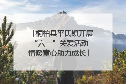 桐柏县平氏镇开展“六一”关爱活动 情暖童心助力成长