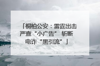 桐柏公安：雷霆出击严查“小广告” 斩断电诈“黑引流”