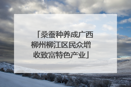 桑蚕种养成广西柳州柳江区民众增收致富特色产业