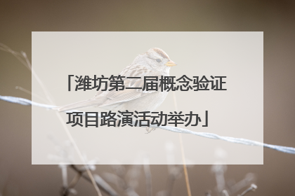 潍坊第二届概念验证项目路演活动举办