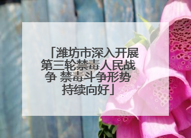 潍坊市深入开展第三轮禁毒人民战争 禁毒斗争形势持续向好