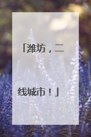 潍坊，二线城市！