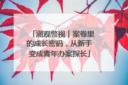 潮观警视｜案卷里的成长密码，从新手变成青年办案探长