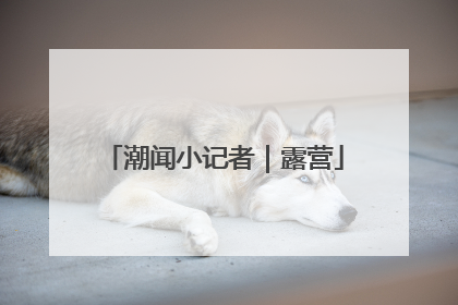 潮闻小记者｜露营