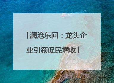 澜沧东回：龙头企业引领促民增收