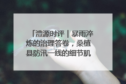 澧源时评｜暴雨淬炼的治理答卷，桑植县防汛一线的细节肌理与体系力量