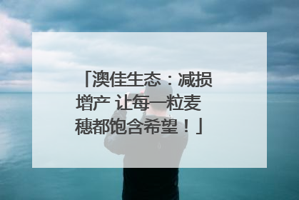 澳佳生态：减损增产 让每一粒麦穗都饱含希望！