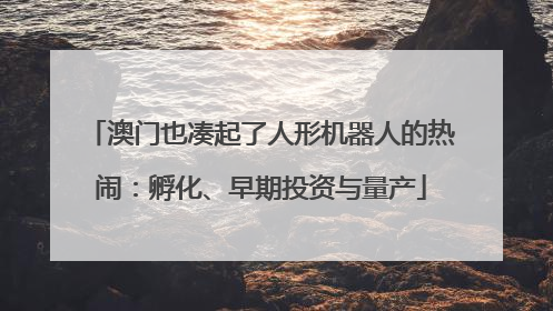 澳门也凑起了人形机器人的热闹：孵化、早期投资与量产