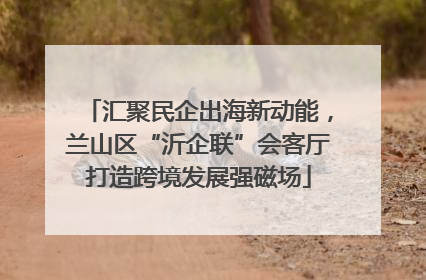 汇聚民企出海新动能，兰山区“沂企联”会客厅打造跨境发展强磁场