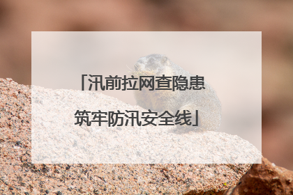 汛前拉网查隐患 筑牢防汛安全线