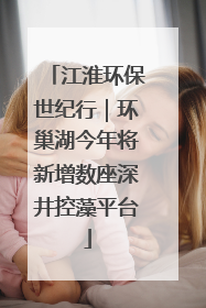 江淮环保世纪行｜环巢湖今年将新增数座深井控藻平台