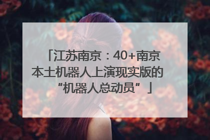 江苏南京：40+南京本土机器人上演现实版的“机器人总动员”