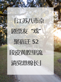 江苏八市京剧票友“戏”聚宿迁 52段皮黄腔里流淌党恩绵长