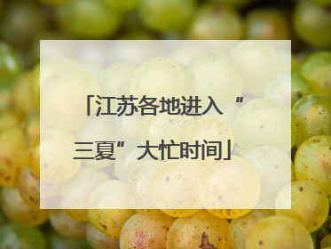 江苏各地进入“三夏”大忙时间