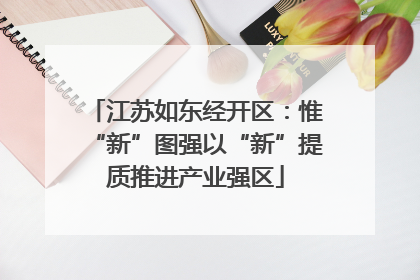 江苏如东经开区：惟“新”图强以“新”提质推进产业强区