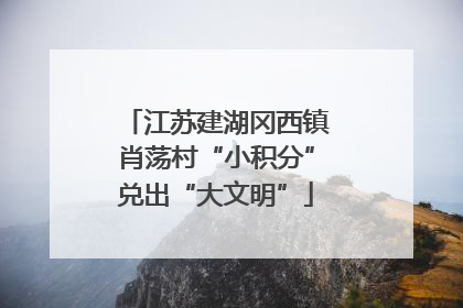江苏建湖冈西镇肖荡村“小积分”兑出“大文明”