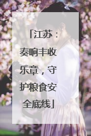 江苏：奏响丰收乐章，守护粮食安全底线