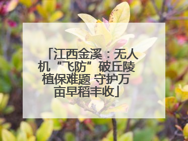 江西金溪：无人机“飞防”破丘陵植保难题 守护万亩早稻丰收