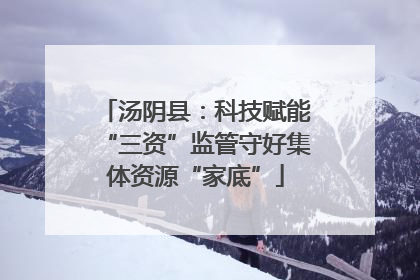 汤阴县：科技赋能“三资”监管守好集体资源“家底”