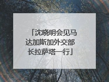 沈晓明会见马达加斯加外交部长拉萨塔一行